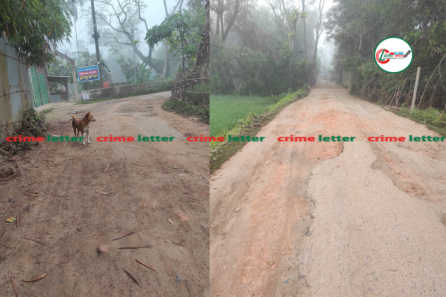 বাইয়ারা হতে নাঙ্গলকোট রাস্তার বেহাল দশা