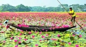 সম্ভাবনায় ভরপুর ময়মনসিংহের ফুলবাড়ীয়া